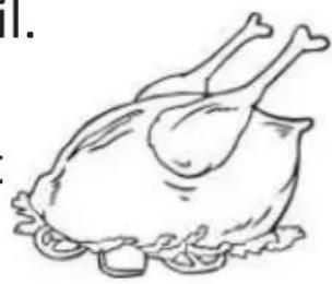 PROLINE PRI122F4F - Poultry - 1
