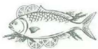 PROLINE PRI122F4F - Poisson et fruits de mer - 2
