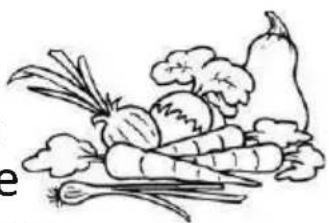PROLINE PRI122F4F - Fruits et légumes frais - 2