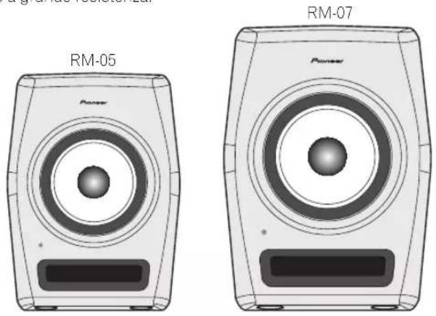 PIONEER RM05 - Caratteristiche principali - 1
