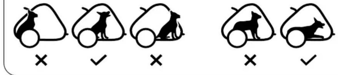 Hamax Cooper - B Posicao do cachorro no trailer - 1