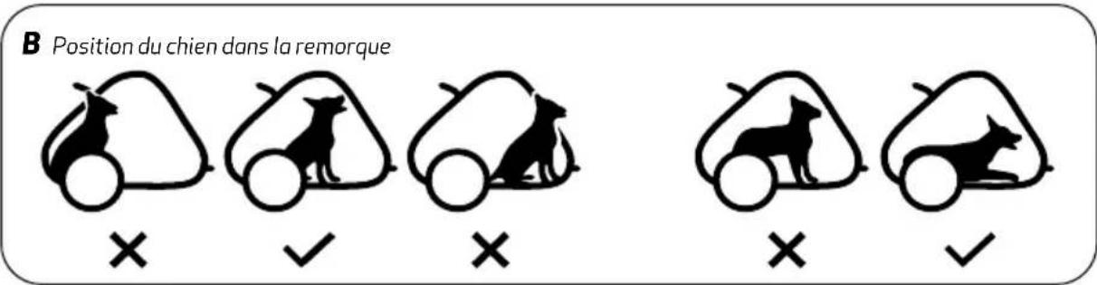 Hamax Cooper - Consignes de sécurité - 1