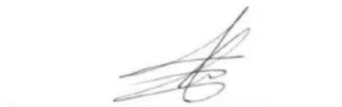 Greencut PP560L - DECLARACION DE CONFORMIDAD (CE) - 1