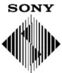 SONY SCPH10420U - Duración de las pilas - 3