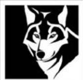 Vulcan VIR1CF - BOULONS D'ARRÊT - 2