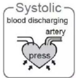Duronic BPM080 - What are systolic pressure and diastolic pressure? - 1