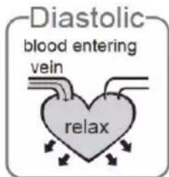 Duronic BPM080 - What are systolic pressure and diastolic pressure? - 2