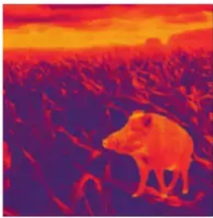 LIEMKE Keiler2 - FASCINATION TECHNOLOGIE D'IMAGERIE THERMIQUE - 1