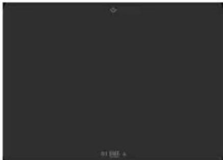 LIEMKE Luchs2 - Standardanzeige - 2