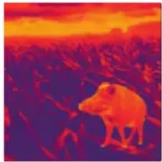 LIEMKE Luchs2 - FASCINATION THERMAL IMAGING - 1