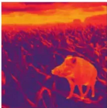 LIEMKE Keiler25.1 - FASCINATION THERMAL IMAGING TECHNOLOGY - 1