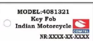 Indian Chieftain Dark Horse (2024) - Attention - 2