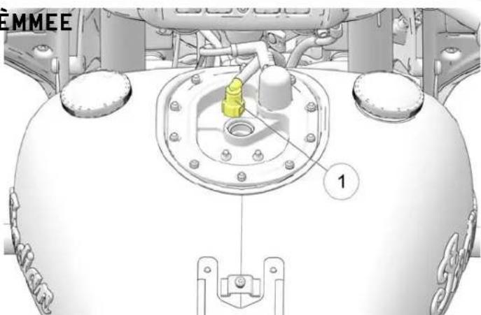 Indian Chieftain Dark Horse (2024) - Entretien - 1