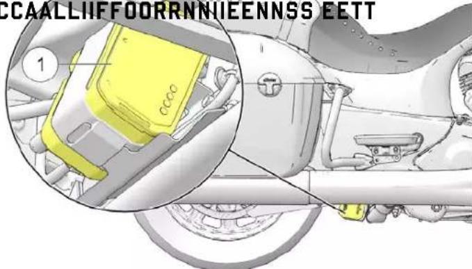 Indian Chieftain Dark Horse (2024) - Entretien - 2