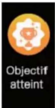 Sunstech FitLife HR - 5) Rappel pour le but atteint - 1