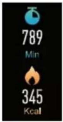 Sunstech FitLife HR - Sous-mode Consulter les données. - 2