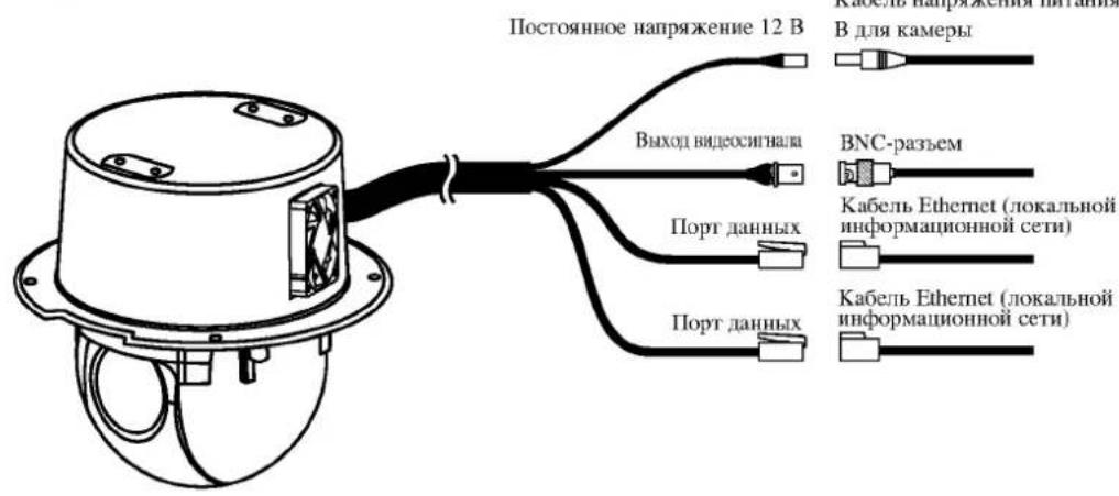 LG LPTOS513AQ - Поклоченья - 1