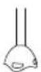 TAURUS Bapi 750 Pure Plus Inox - PULIZIA - 3