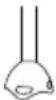 TAURUS Bapi 750 Pure Plus Inox - CLEANING - 7
