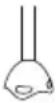 TAURUS Bapi 750 Pure Plus Inox - LIMPEZA. - 1