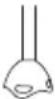 TAURUS Bapi 750 Pure Plus Inox - CZYSZCZENIE - 6