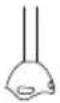 TAURUS Bapi 750 Pure Plus Inox - PULIZIA - 7