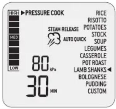 SAGE the Fast Slow Pro SPR700 - DRUKKOOK - 1