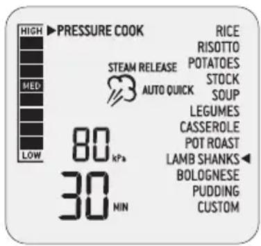 SAGE the Fast Slow Pro SPR700 - COTTURA A PRESSIONE - 1