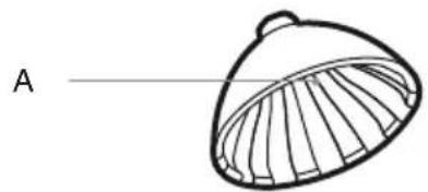 SAGE the Citrus Press SCP600 - Opis Twojego nowego urządzenia - 1