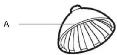SAGE the Citrus Press SCP600 - Onderdelen - 1