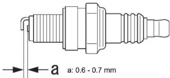 Shindaiwa T303TS - Check spark plug - 1