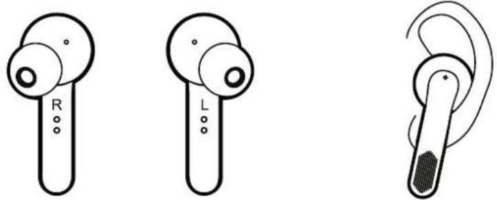 Envivo ENV1610 - VEILIG PASSEN - 1