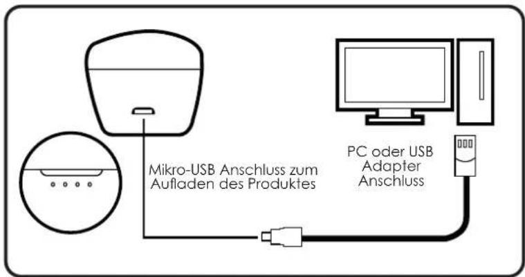 Envivo ENV1610 - DIE AUFLADEBOX AUFLADEN - 1