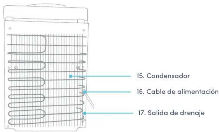 Avalon A11 - Nombres de los componentes - 2