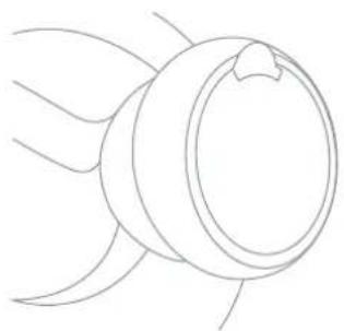 Avalon A11 - Instructions d'utilisation - 1