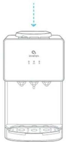 Avalon A11 - Rinsing, Cleaning, and Draining - 2