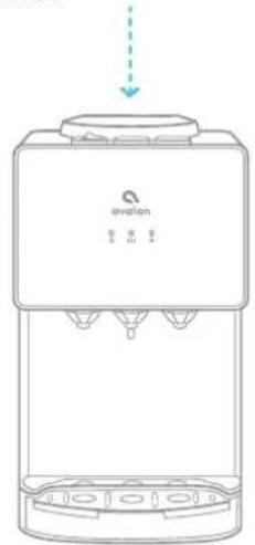 Avalon A11 - Rincer, Nettoyer et Drainer - 2