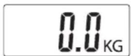 BEURER BG 17 - Solo misurazione del peso - 2