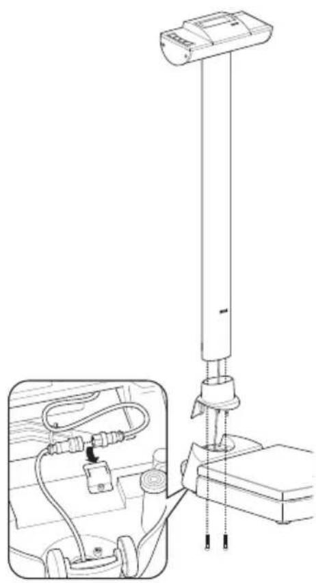 SECA 703 - Montage der Säule - 1