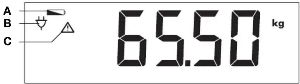 SECA 703 - Symbole na wyświetlaczu - 1