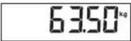 SECA 703 - Start weighing - 2
