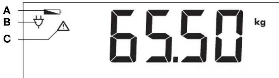 SECA 703 - Simboli sul display - 1