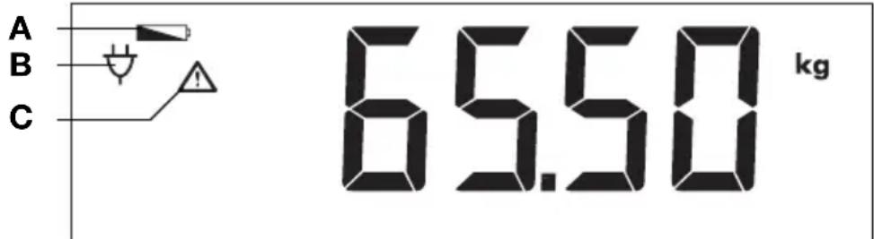 SECA 703 - Simbolos en el visor - 1