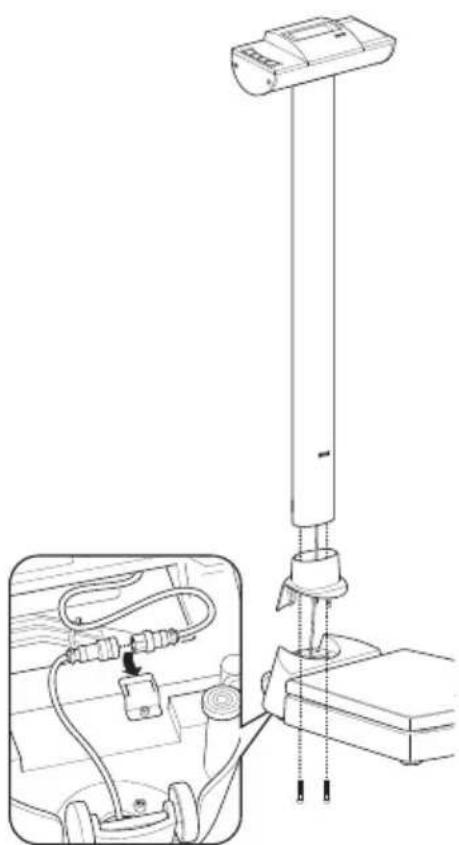 SECA 703 - Installation of column - 1