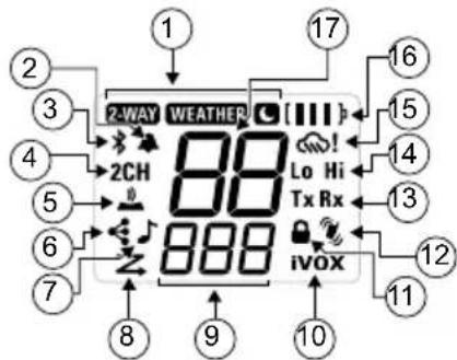 MOTOROLA TALKABOUT T803 - Radio Display - 1