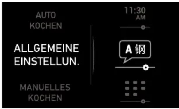 BARAZZA 1FEVEMCN - Sprachauswahl - 1