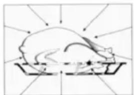 BARAZZA 1FEVEMCN - Comment les aliments se chauffent-ils? - 3