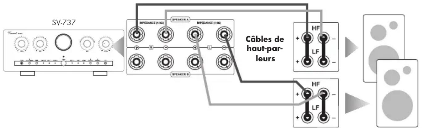 VINCENT SV737 - BRANCHEMENT DES HAUT-PARLEURS - 1