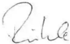 Flex GE 7 - Declaracja zgodność C€ - 1