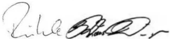 Flex GE 7 - Izjava o skladnosti C € - 1